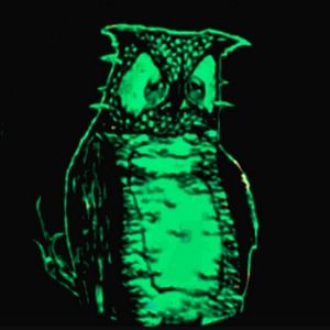 Meet your Posher, Tom